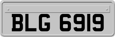 BLG6919
