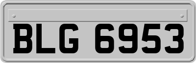 BLG6953