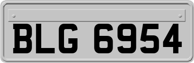 BLG6954