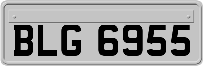 BLG6955