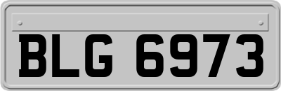 BLG6973