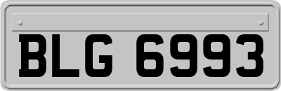 BLG6993