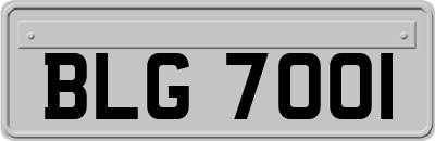 BLG7001