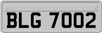 BLG7002