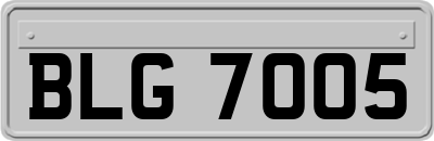 BLG7005