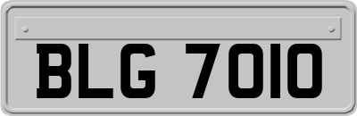 BLG7010