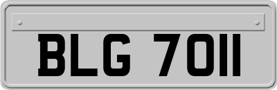 BLG7011
