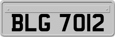 BLG7012