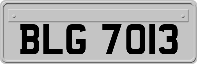 BLG7013