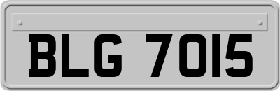 BLG7015