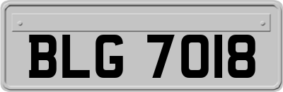 BLG7018