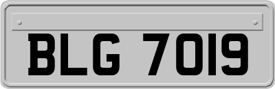 BLG7019