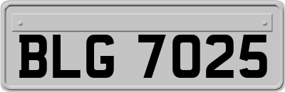 BLG7025