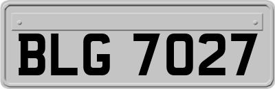 BLG7027