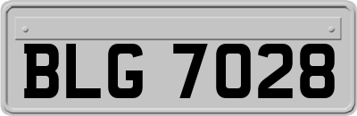 BLG7028