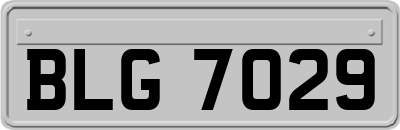 BLG7029