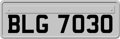 BLG7030
