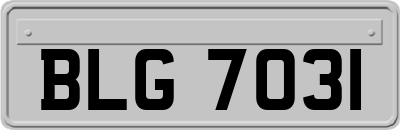 BLG7031