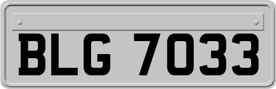 BLG7033