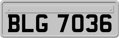 BLG7036