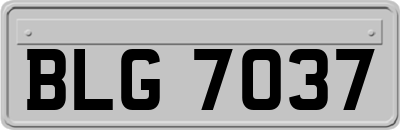 BLG7037