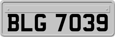 BLG7039