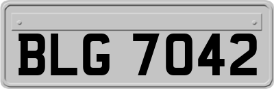 BLG7042