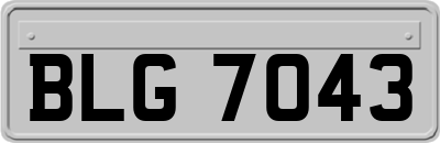 BLG7043