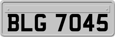 BLG7045
