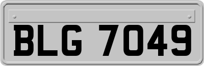 BLG7049