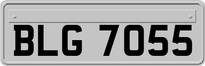 BLG7055