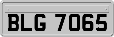 BLG7065