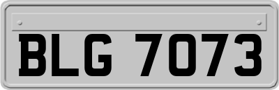 BLG7073