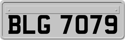 BLG7079