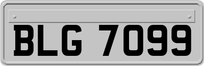 BLG7099