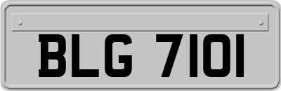 BLG7101