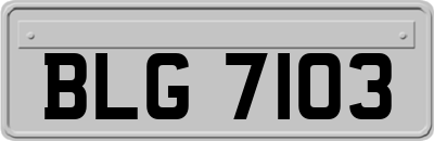 BLG7103