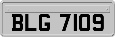 BLG7109