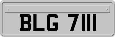 BLG7111