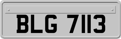 BLG7113