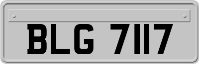 BLG7117