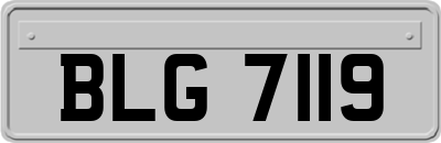 BLG7119