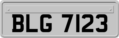 BLG7123