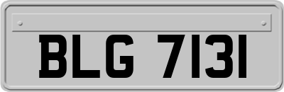 BLG7131