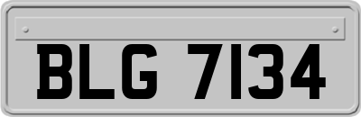 BLG7134