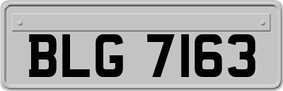 BLG7163