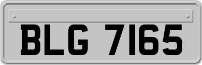 BLG7165