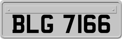 BLG7166