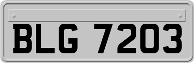 BLG7203