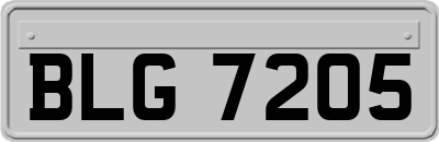 BLG7205